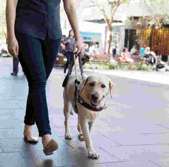 Guide Dogs NSW/ACT