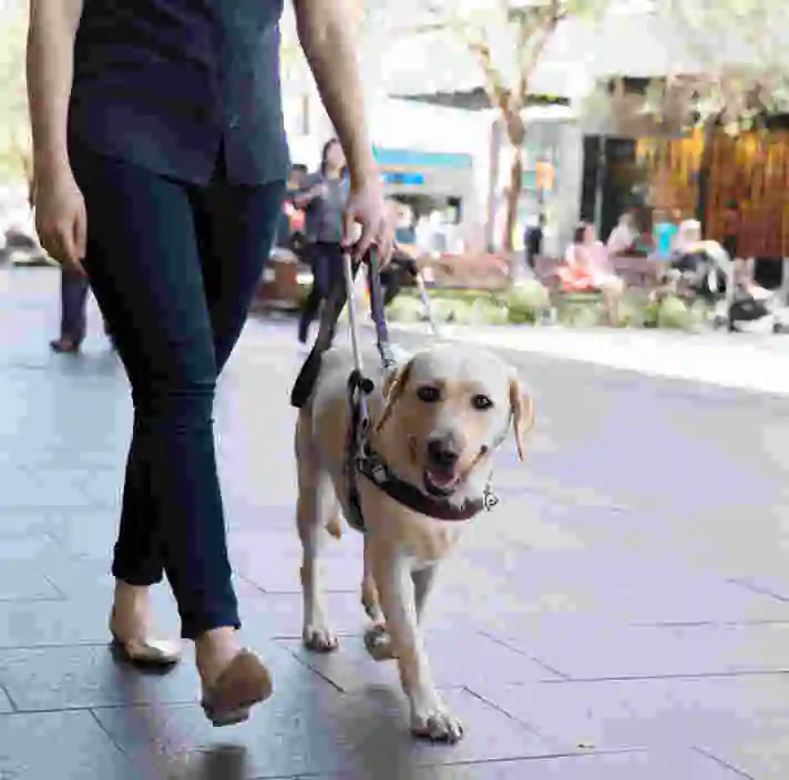 Guide Dogs NSW/ACT