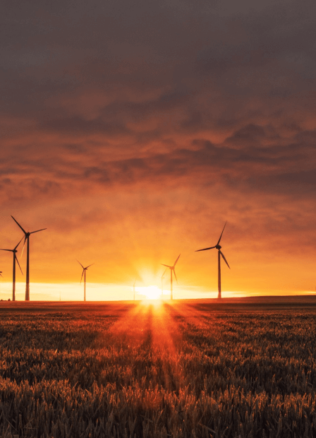 Clean Energy Council sunset with wind turbines 